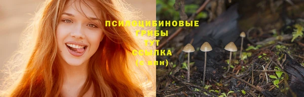 винт Бронницы
