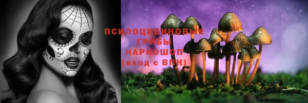 альфа пвп Бородино