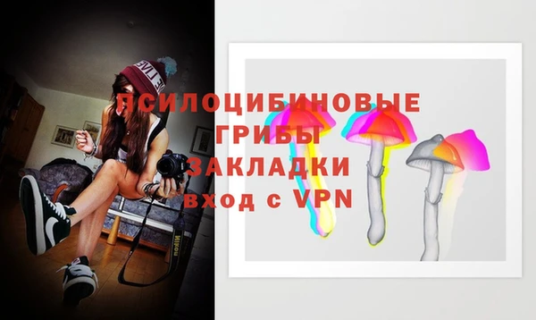 стаф Бугульма